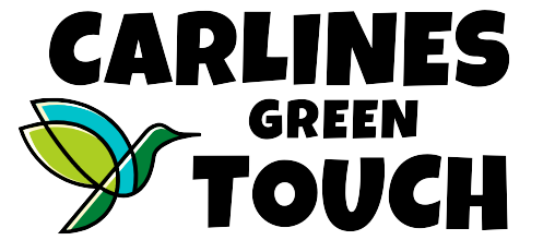 Carlines Green Touch - fond transparent